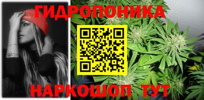 дмт Балаково